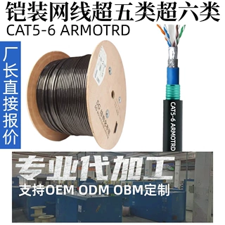 定制铠装网线五类CAT5E六类CAT6A带铠阻燃线缆防鼠咬室内室外屏蔽