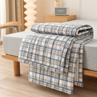 Class a Washed Raw Cotton Mattress Student Dormitory Home Foldableable Bed Pad Universal Machine Washable Thin Mattress for All Seasons
