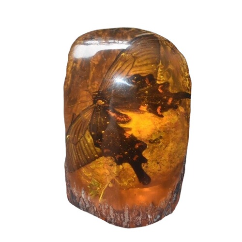 Amber antique craftwork, artificial amber with insects like caterpillars, scorpions, cicadas, crabs, geckos, insect specimens, tree stump decorative piece