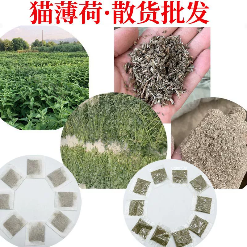 Кошачья мята оптовая продажа кошачья мятная лапша 1 г кошачья мята Домашние закуски