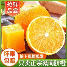 正宗江西赣南脐橙当季脐橙大果新鲜橙子手剥甜橙一件代发批发5斤1