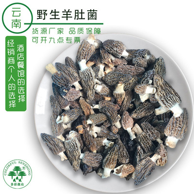 批发羊肚菌冻品云南特产食用菌野外生长羊肚菌非羊肚菌干货|ru