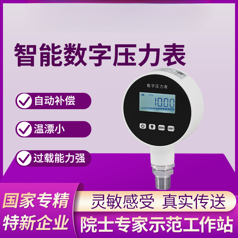 虹润智能数字压力表高精度显示测量气压水压液压真空气液通用DP10