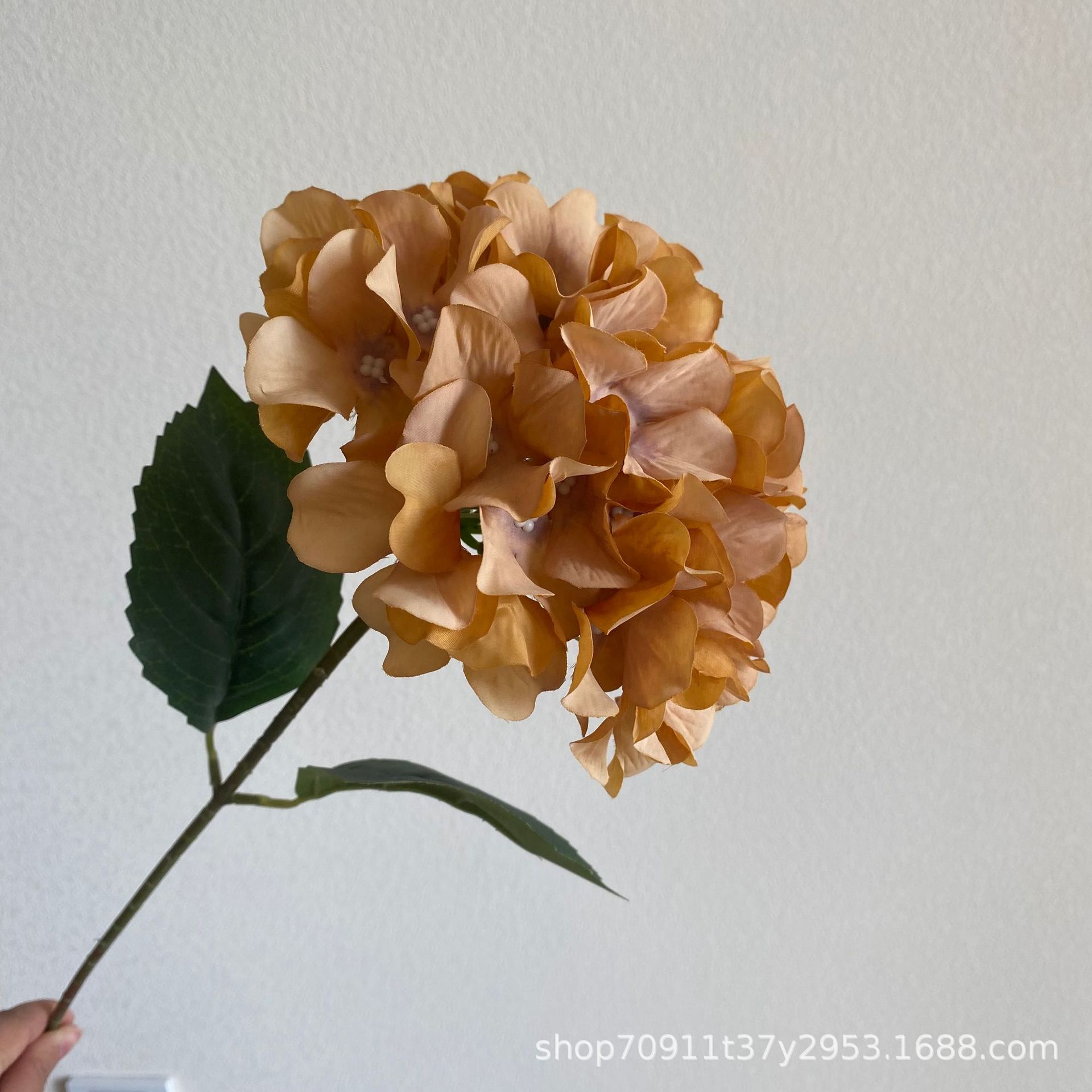 황 다크 브라운