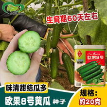 ���КW��8̖�S�ϷN�� �o�̺��mˮ���S�ϷN�� �ļ��̨ˮ���S�ϷN