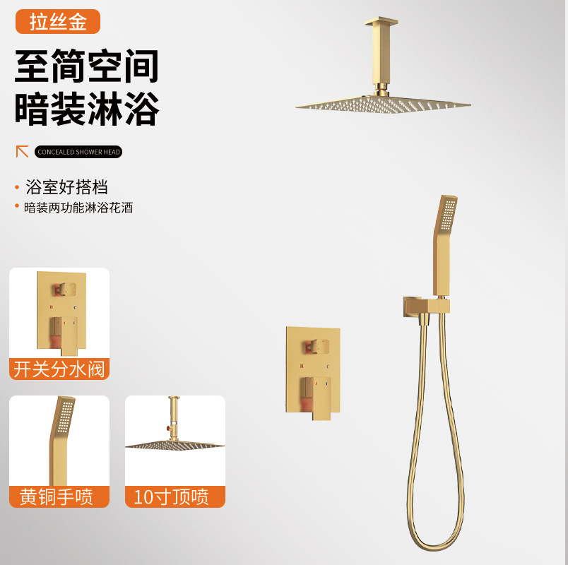 Pulverizar el techo dorado cepillado rociado a mano ducha oculta