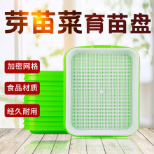 ���ܼӺ������߲˱P��ѿ���ˮ��W���㶹�綹ѿ�Nֲ�P�̨С�ˈ@