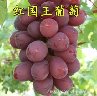 �½��o�˰����ј��m�o�Ѱ������ϱ���������o�˰������箔��Y��