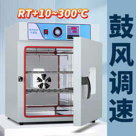 电热鼓风干燥箱实验室新款立式烘干高温老化定时恒温烤箱大型烘箱