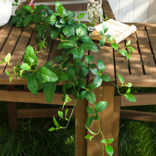 ���Ʒ���Gֲ�ٱ����~�W�t�������滨�ٻ����մ򿨵���ֲ��������