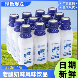 Old Yogurt Flavored Drink 330ml Mellow Taste Nutritious Breakfast Yogurt Drink Bottled Whole Box Wholesale