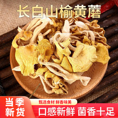 【东北特产】长白山榆黄蘑 特产干货 菌香浓郁 营养美味