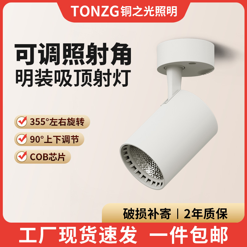 Ángulo ajustable de lámpara de punto de luz de techo único hogar pequeño tipo de lámpara de pista de punto de luz LED de techo downlight