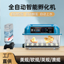 家用小型鸡蛋孵化器孵蛋器小鸡鸭鹅鹌鹑鸽孵化机保温箱