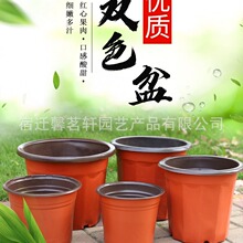 һ�����pɫ�������l ������ �I�B�� ��̖�����������pɫ��Nֲ��