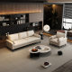 Light Luxury Sofa Small Apartment Living Room Simple Double Triple Apartment Clothing Store Rental Room Reception Sofa
