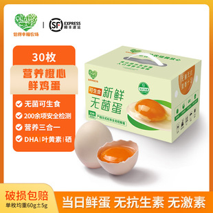 �Ҹ��r������ʳ�o����30ö��ʽ�I�B���ĸ���DHA�~�S�������r�u��