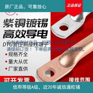 20240313������Ʒ�P�˽�߹܉� DTG101625355095120���������~