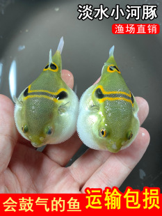 ���ߺ����^�p�~�䵭ˮ��ˮͧ���ﹷ�^С�~���ͻ���B�ɿ��������~