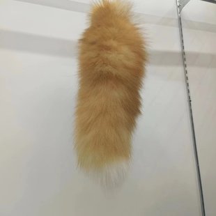 �������β��耳׿���ëƤ�����Ůʿ���������܇耳׿ے�����l