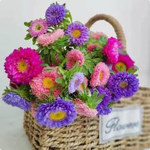 շNӴ󻨺BĻNͥԺ׻Nļ_⻨N