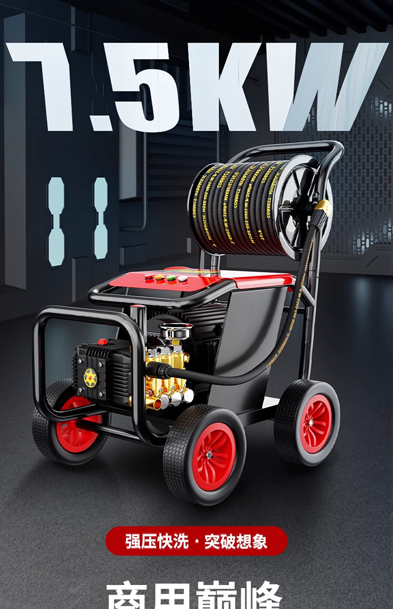 Black Cat Racing Variable Frequency Cleaning Machine 220V Commercial Car Wash Shop Car Wash High Pressure Water Gun Pump Super Supercharged Car Wash Machine