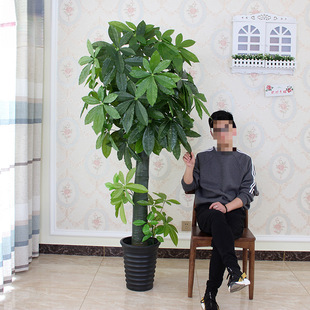 �lؔ�����Կ͏d�����;Gֲ�[���ٻ��b��҃�����k����ֲ���