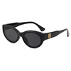 Brand sunglasses hip-hop style, retro glasses, internet celebrity