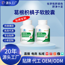 护肝片抖快报白爆款葛根枳椇软胶囊护肝软胶囊保健食品批发代发