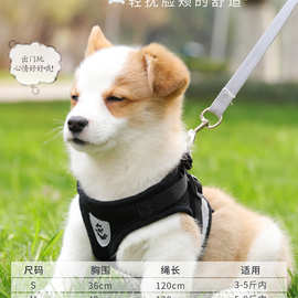 狗狗牵引绳狗链反光背心胸背带狗链子狗绳子遛狗绳小型犬泰迪用品