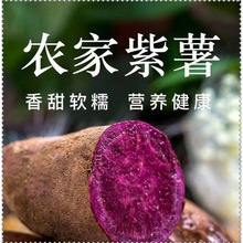 当季紫薯沙地富硒紫罗兰番薯山芋小紫薯紫地瓜农家自种新鲜新鲜厂
