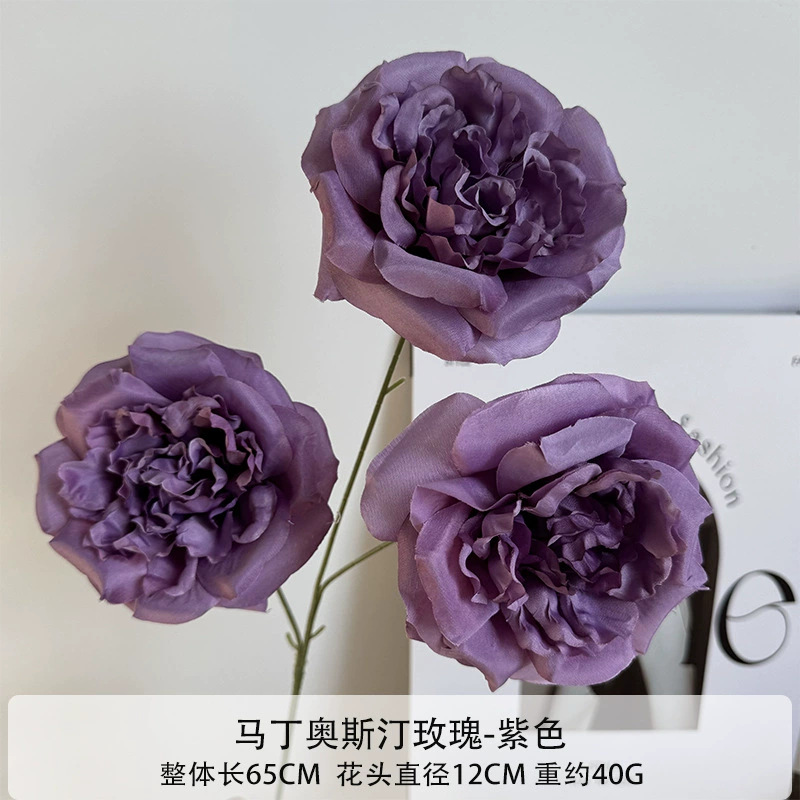 Martin Austin Rose - Roxo