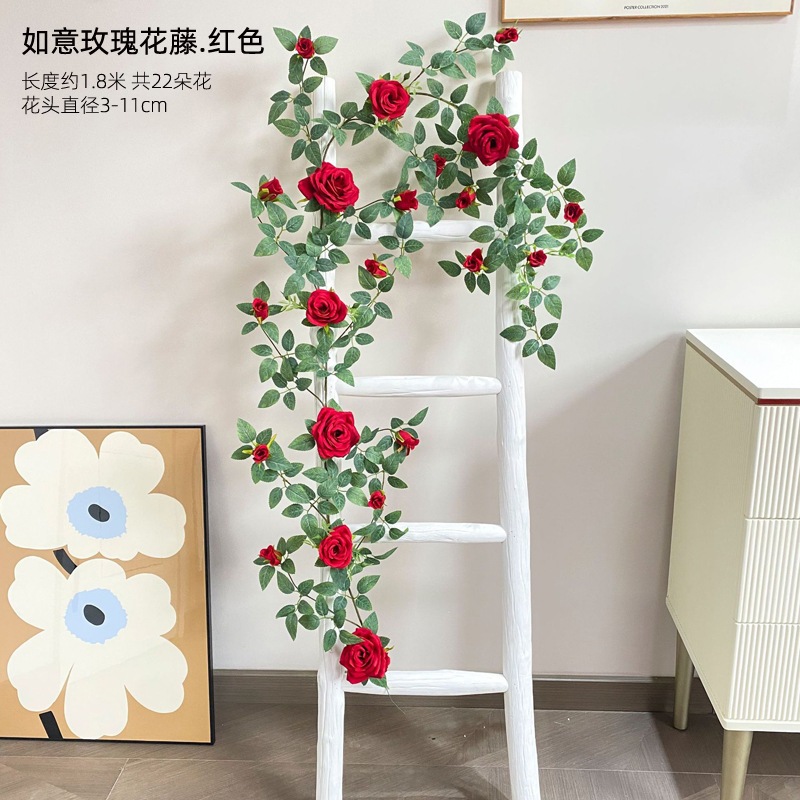 붉은 장미 꽃 포도 나무 1.8 미터