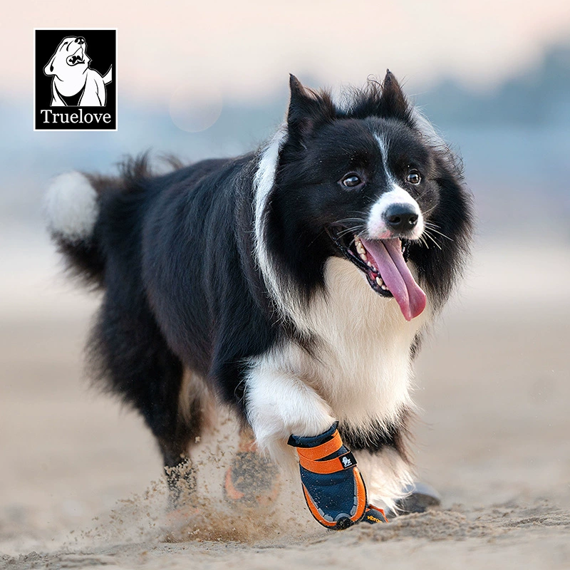 Truelove собачья обувь осень-зима спортивная обувь для домашних животных мягкая подошва не может отбросить ноги нескользящая внешняя торговля через Амазонка