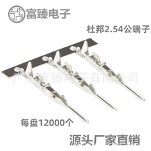 �V�|����Ű�2.54�B�@�����S�~��a��_��Դ�^�S��ֱ�N��С�~���l