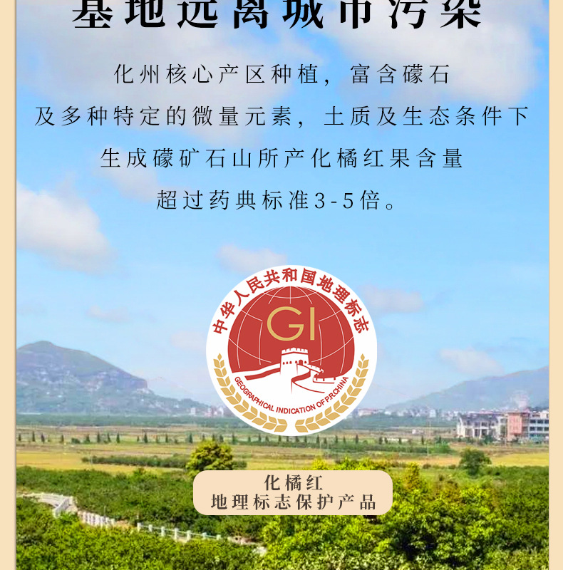 Huazhou Tangerine Peel Slices Hua Ju Hong 125g Aged Whole Fruit Slices Traditional Herbal Tea specifications