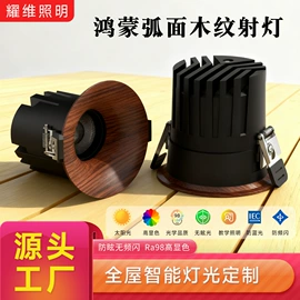 射灯;筒灯;成套灯具