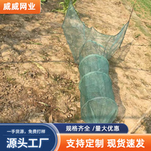 密眼飞机网虎口八字网黄鳝龙虾螃蟹渔网渔具十目三毫米网眼
