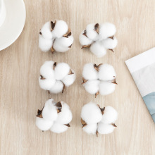 ���ҷ�����Ȼ�ɻ��������������쾰�޻��^ʮ�ֹ��������羳ľ�޻�