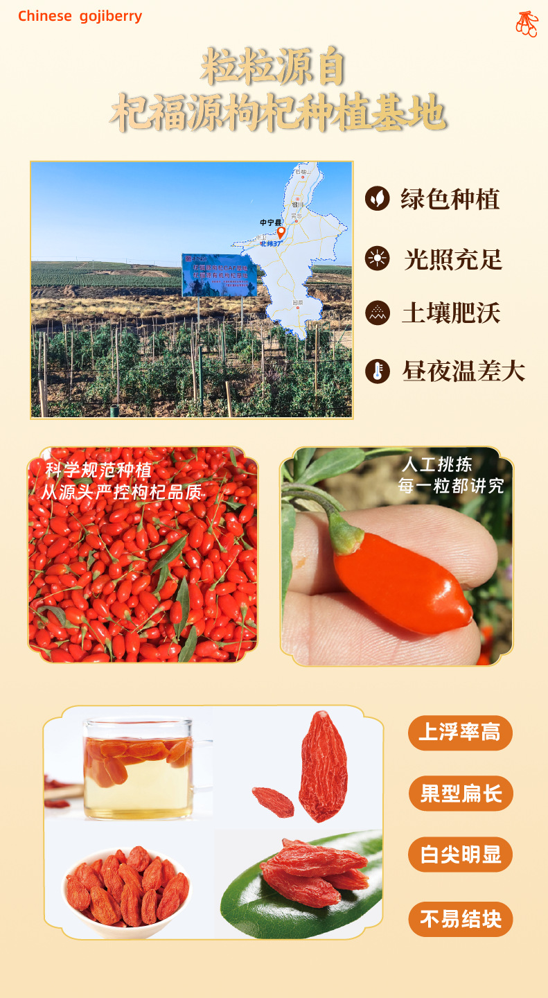 杞福源中宁红枸杞王大颗粒罐装产地直发正宗头茬特级贡果整箱批发-阿里巴巴