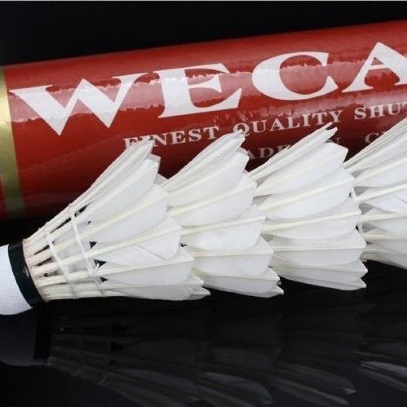 레드윅켄 [76스피드]