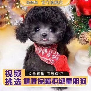 ���N̩��Ȯ��Ȯ���w��ɫ̩�Ϲ��L��Ĳ豭̩���F�eȮ���ﹷ���w