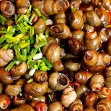 �����������������������ݪ{�_����ʳ�ݽz����ʳ��ʳ�������ݴ��l