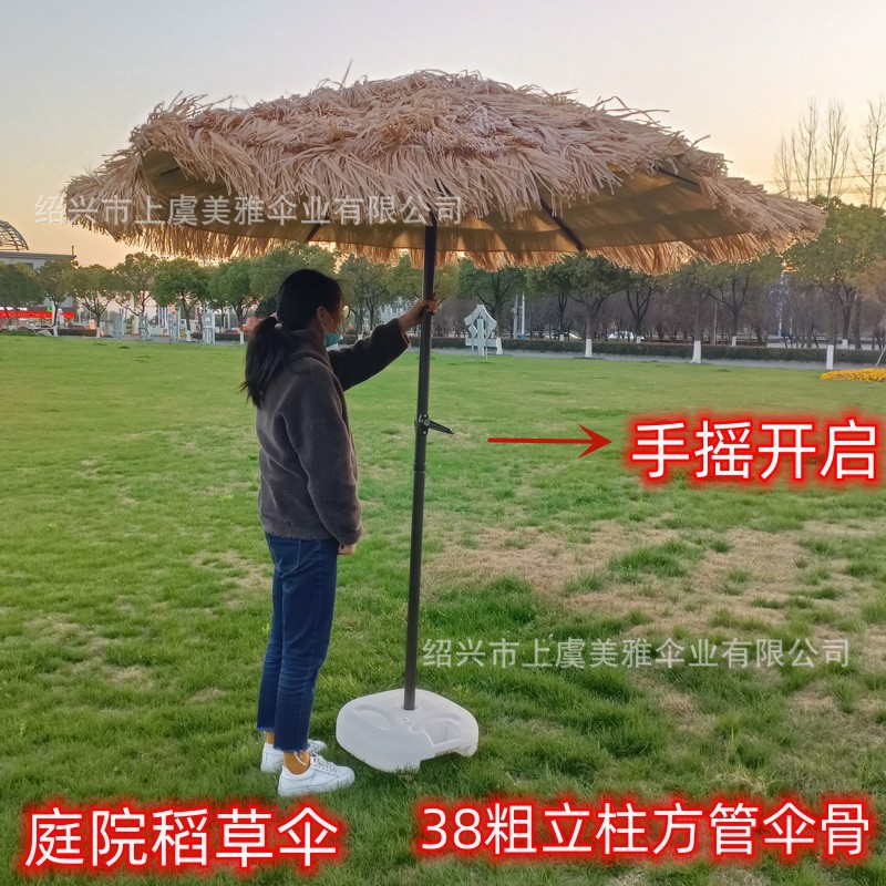 IMG20230313175528_副本_副本