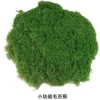 Small piece of hair moss