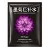 Moisturizing nutritious cosmetic monolithic face mask, skin rejuvenation, wholesale