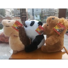 �涷������؈֮Ѩ���°��涷�������ë�q��߹��Ъ{����؈��ż