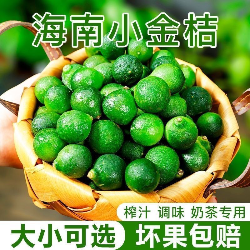 25년산 생과일 [음료 파트너] 밀크티 착즙 및 맛 - 권장량 : 순중량 1.5kg [중소 과일] 약 170~250개