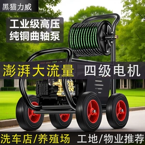 Black Cat 220V yüksək təzyiqli avtoyuma maşını, təmizləyici alət