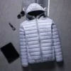 Hooded bright gray (version)